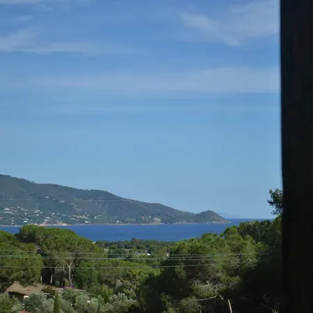 Fillirea * Capoliveri (Isola d'Elba)