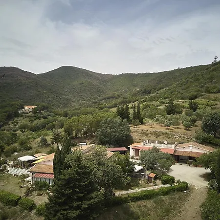 Apartamento Fillirea